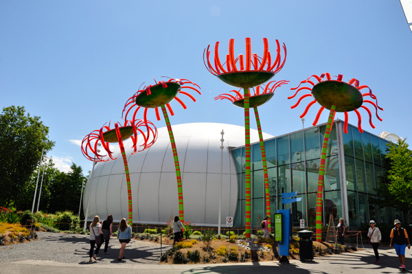 art at the Seattle Center